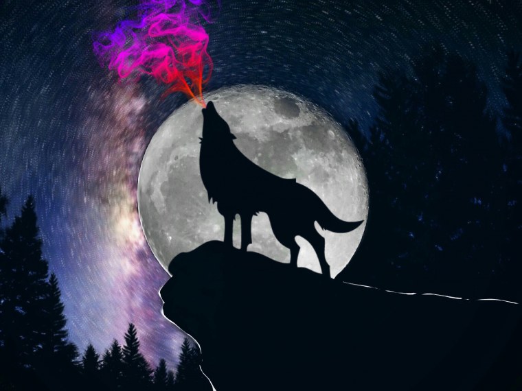 Полнолуние и оборотни