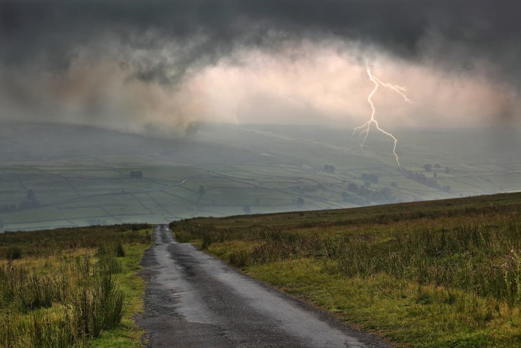 Гроза в лесу