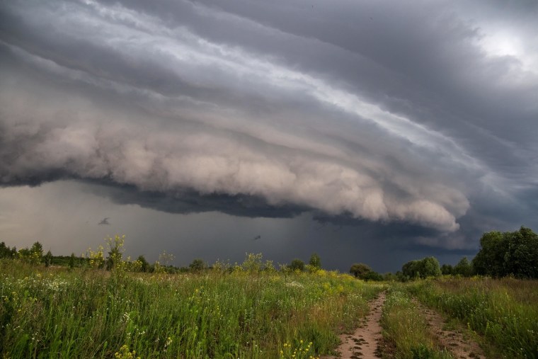 Грозовые тучи над лесом