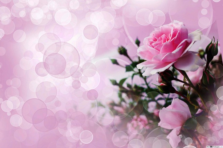 Фон с цветами