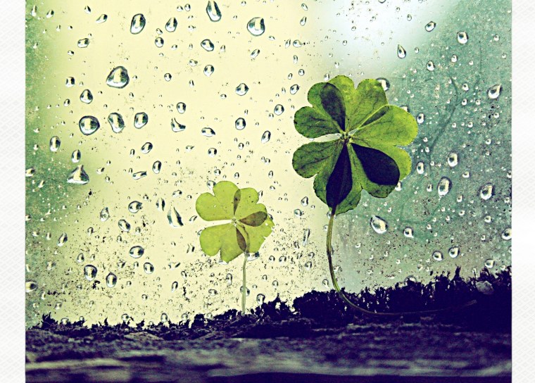 Веселый фон