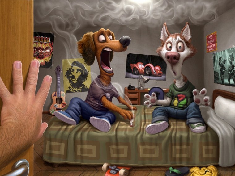 Смешные звери