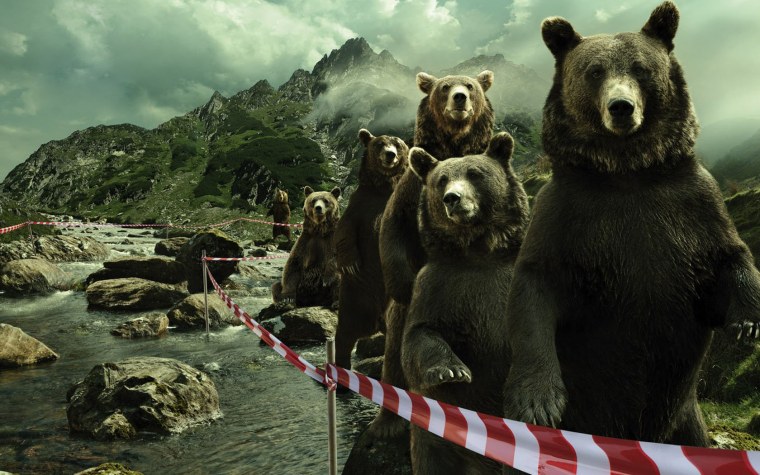 Медведь Гризли Гас