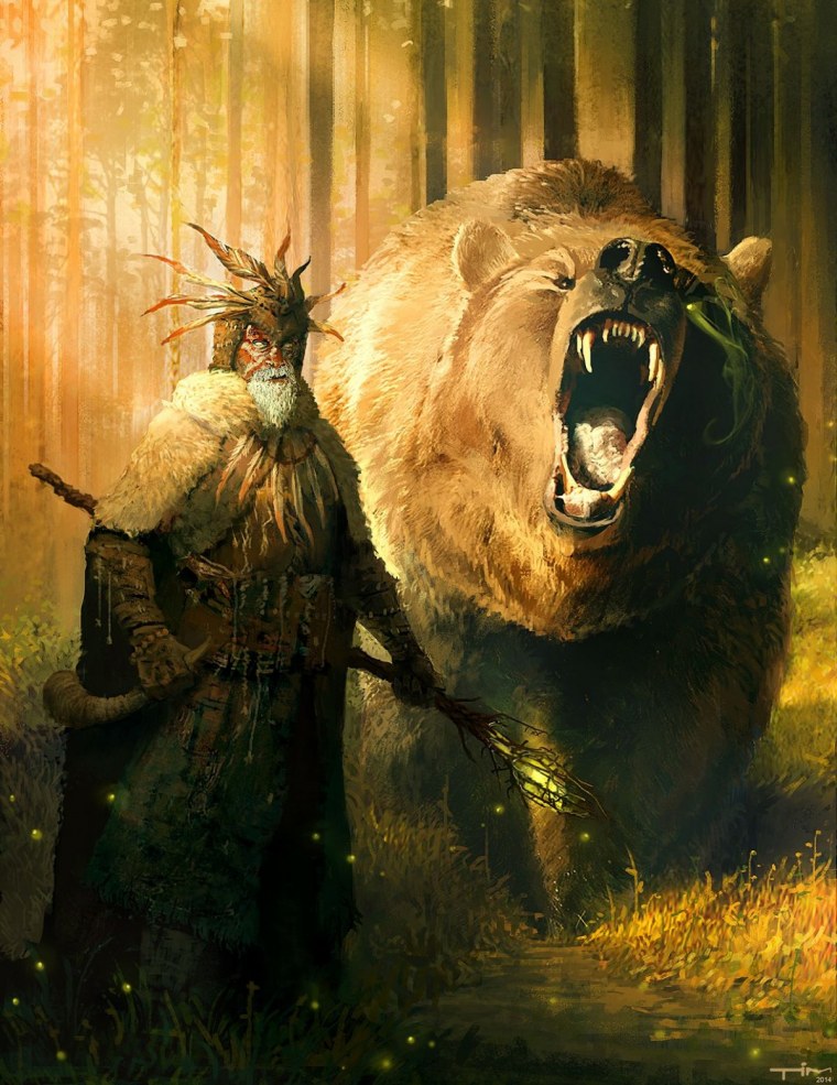 Медведь в тумане в лесу