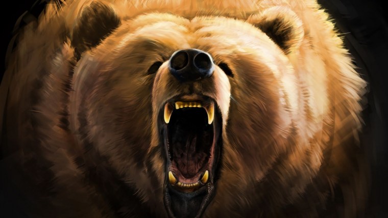 Медведь в тумане