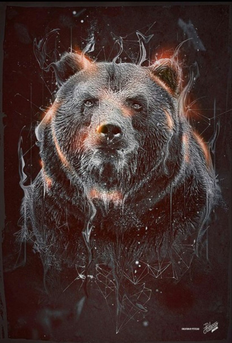 Русский медведь обои