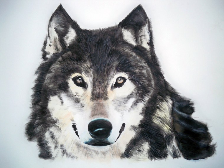 Химера взгляд волчицы