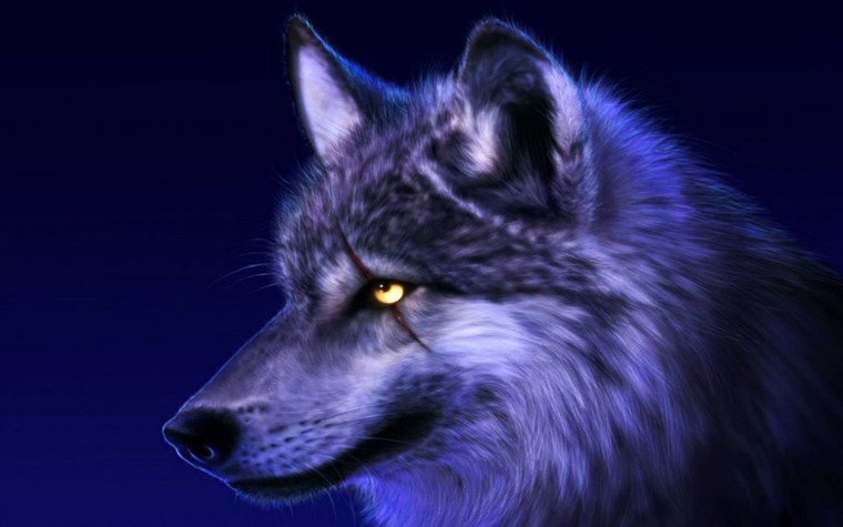 When a Wolf the Moon it