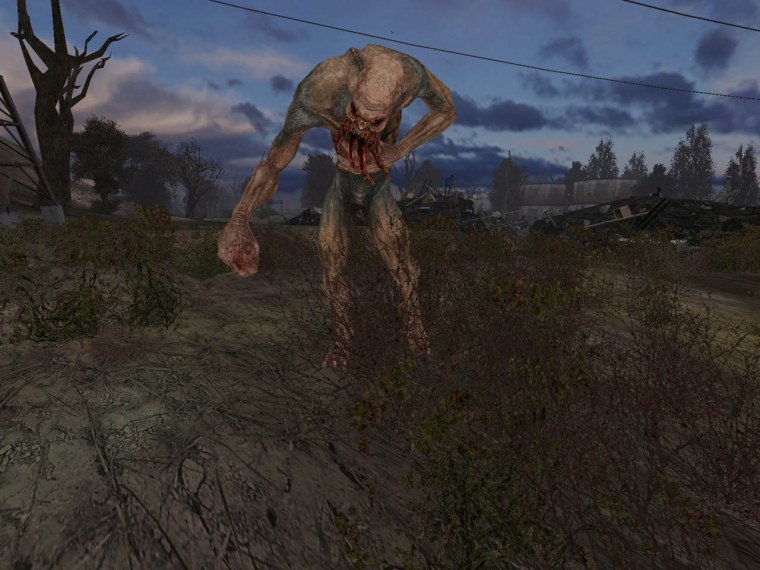 Сталкер концепт кровосос