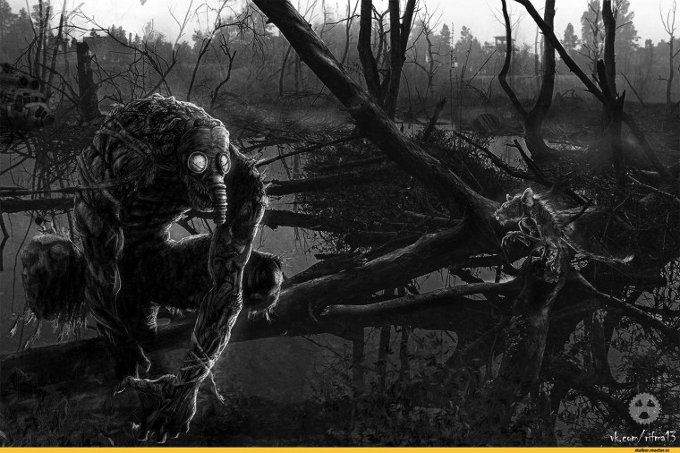 Stalker Снорк без противогаза