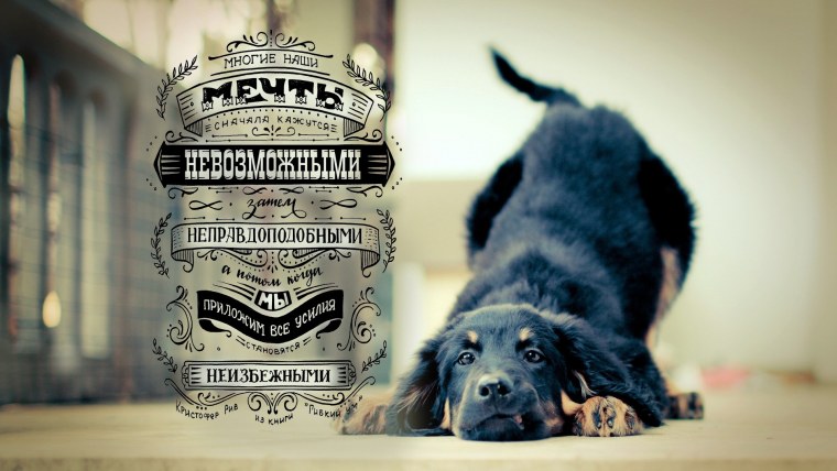 Красивый фон для фразы