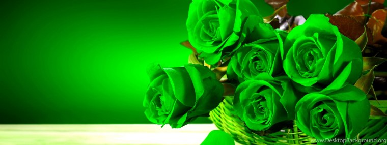 Красный цветок на зеленом фоне