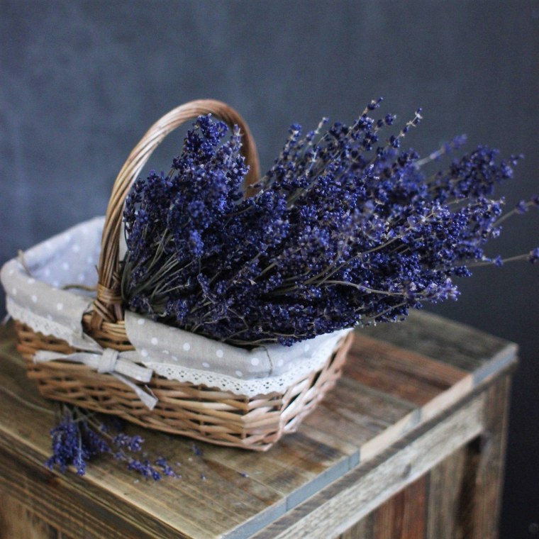 Лаванда узколистная аромат Прованса