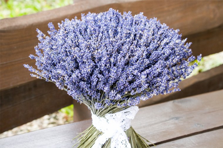 Лавандовое поле. Прованс