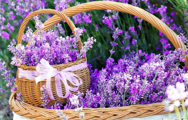 Корзинка с цветами