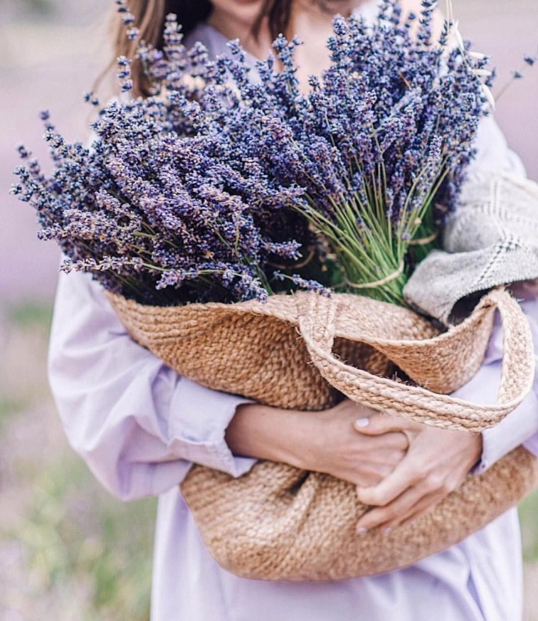 Травы Прованса