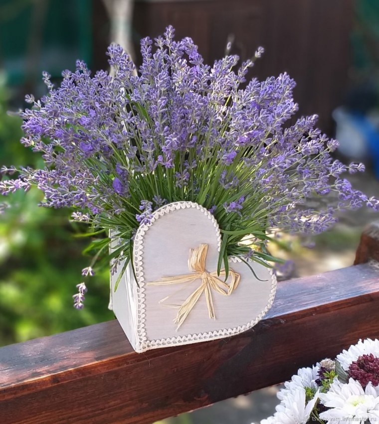 Лавандовый Прованс