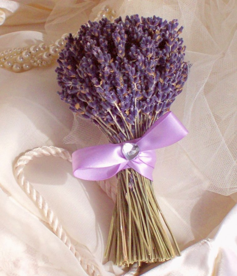 Лаванда узколистная Hidcote