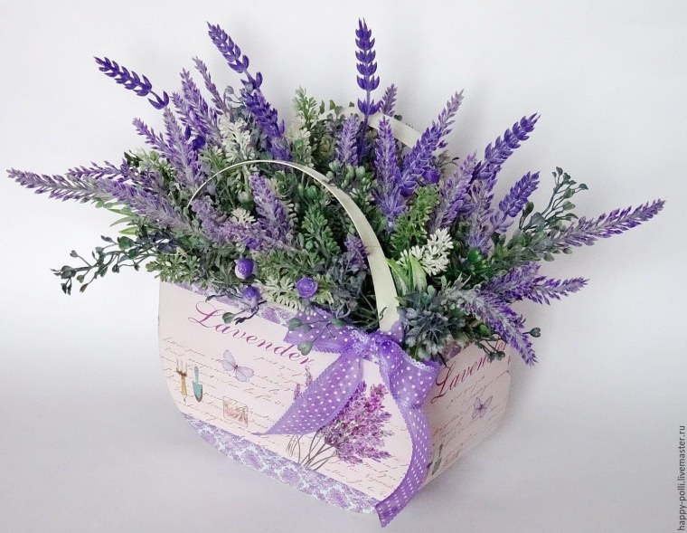 Лаванда узколистная Прованс