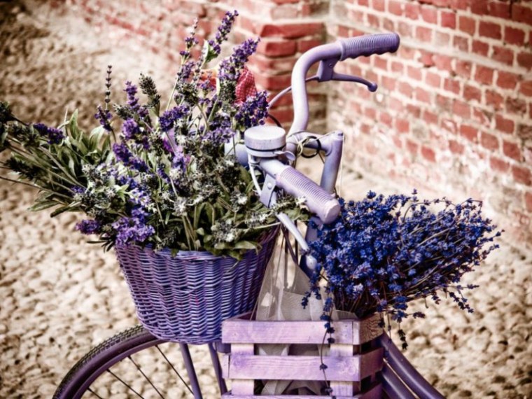 Лаванда спа