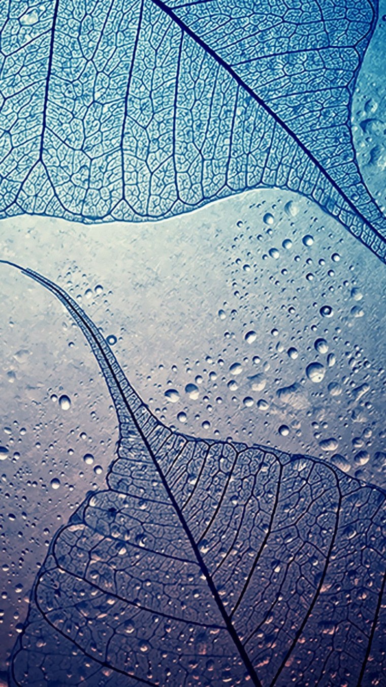 Фон на рабочий стол телефона