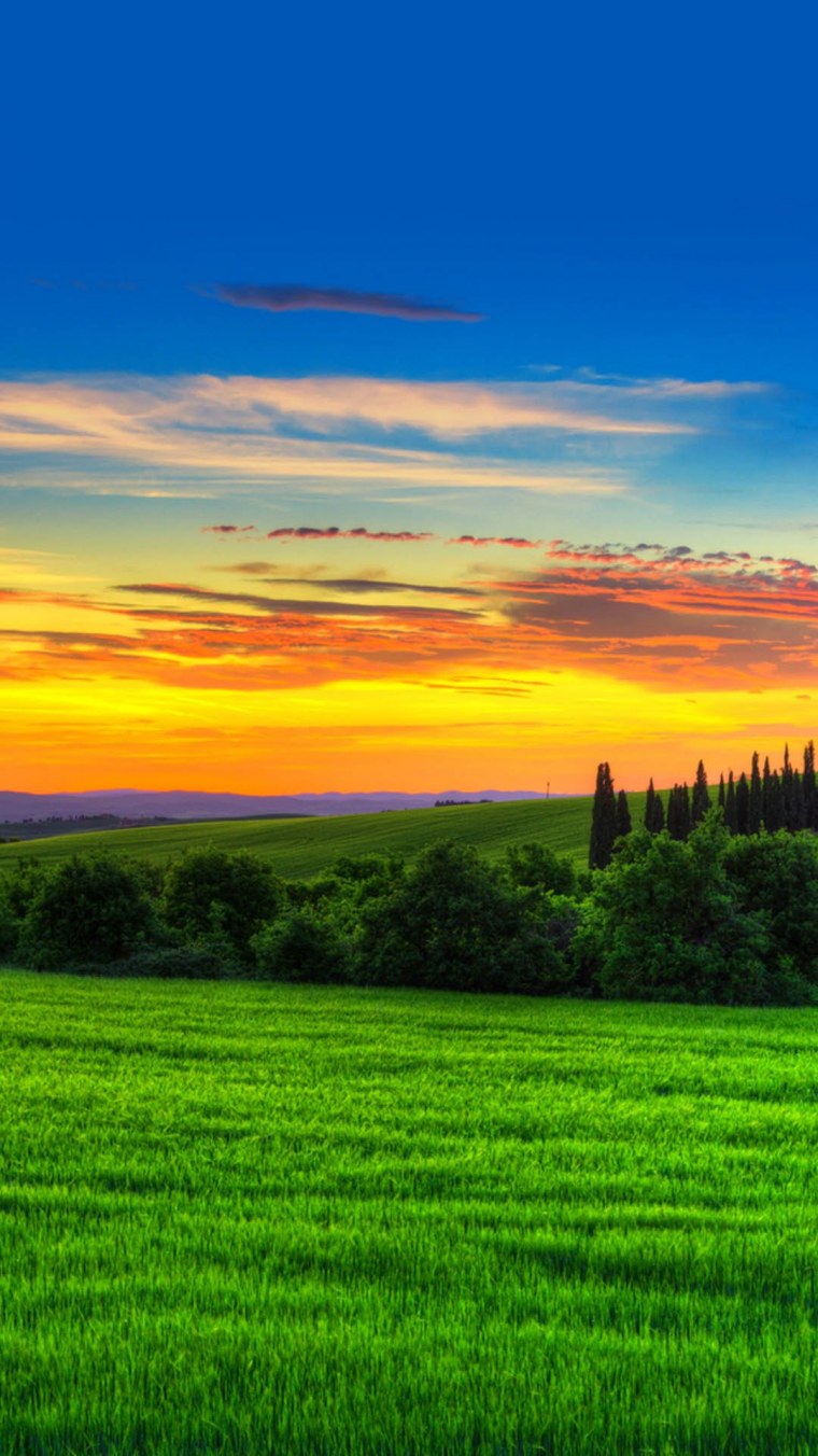 Красивые зеленые пейзажи