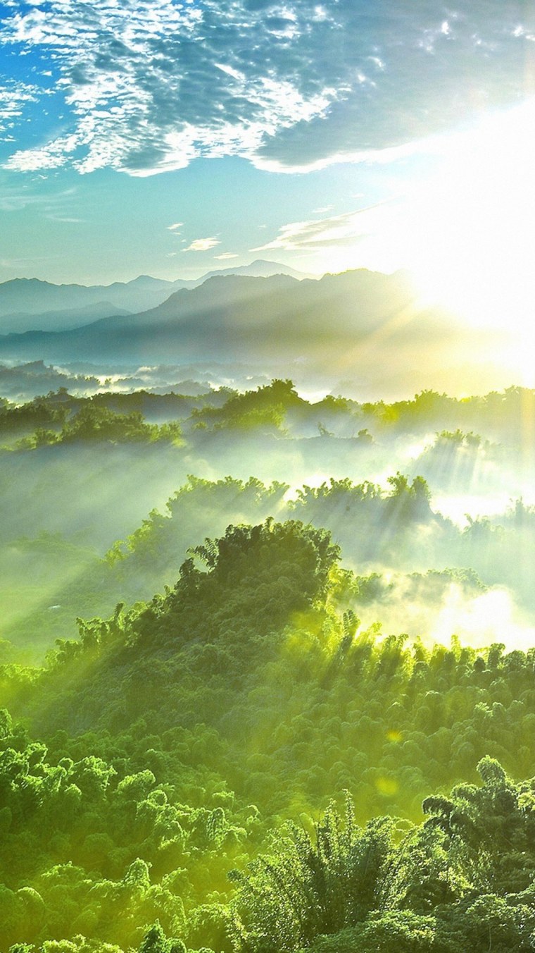 Фон природа