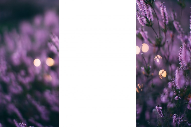 Сиреневые обои на телефон