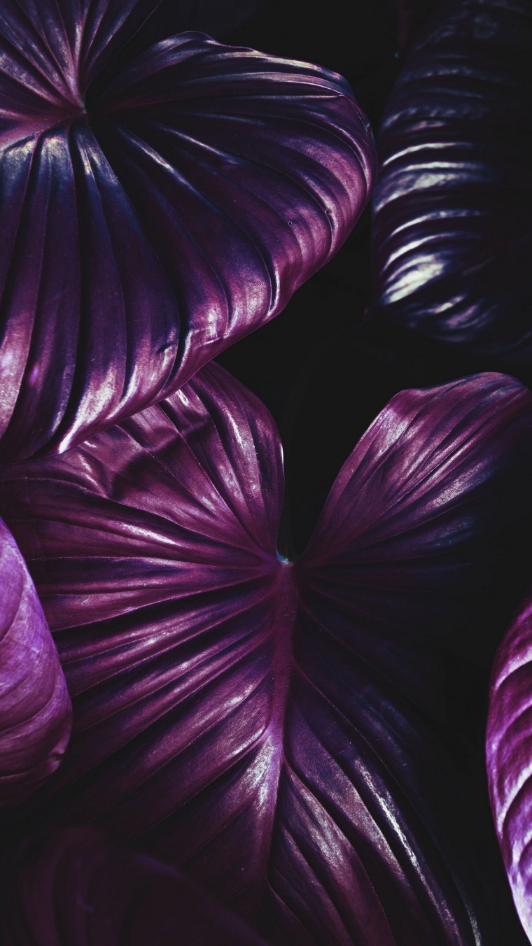 Фиолетовый фон для сториз