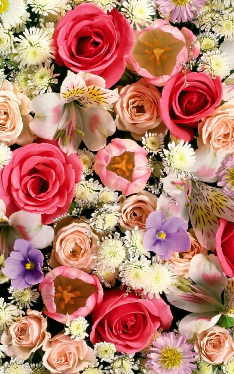 Фиолетовые обои