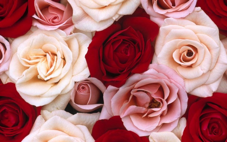 Вертикальный фон для телефона