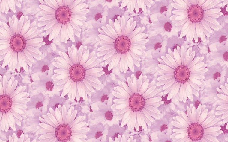 Красивые цветы