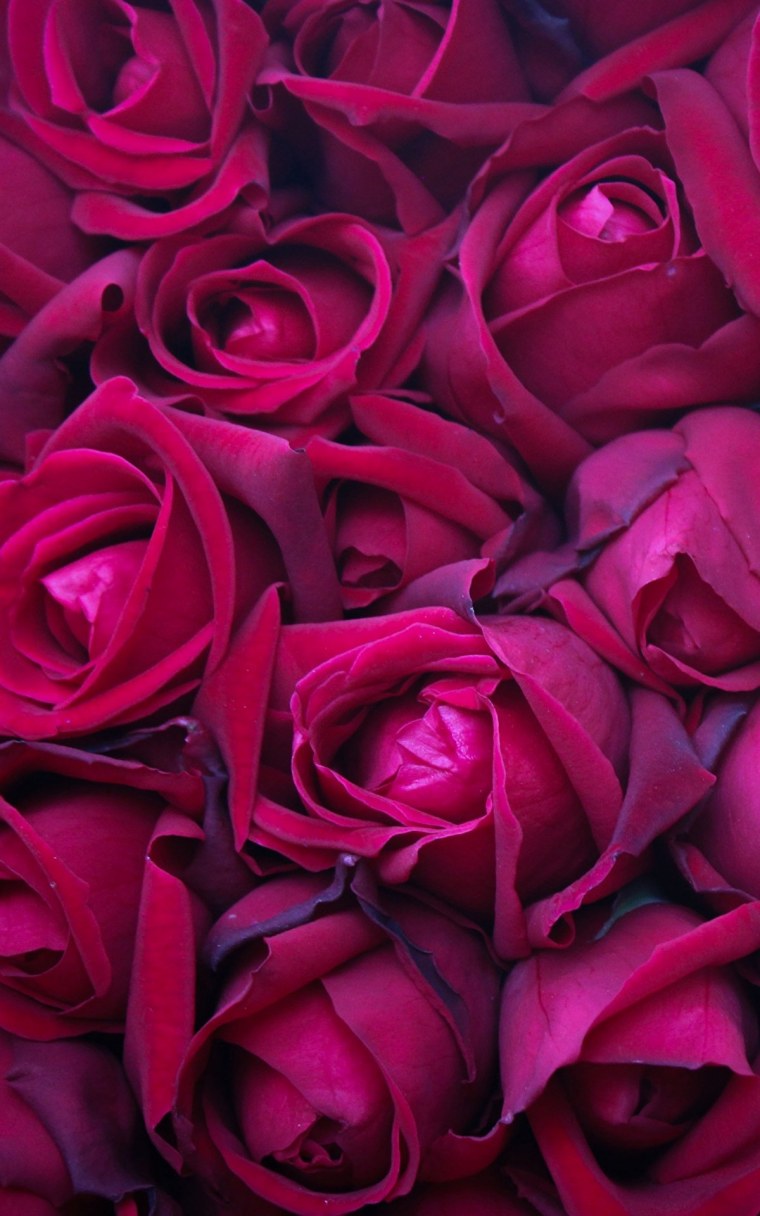 Принт цветы на черном фоне