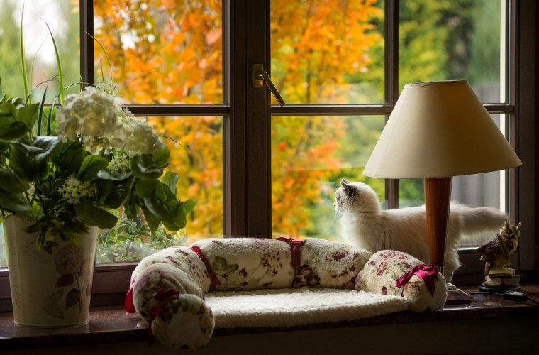 Фотофон осень