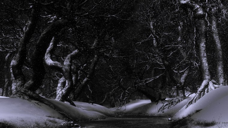 Страшный зимний лес