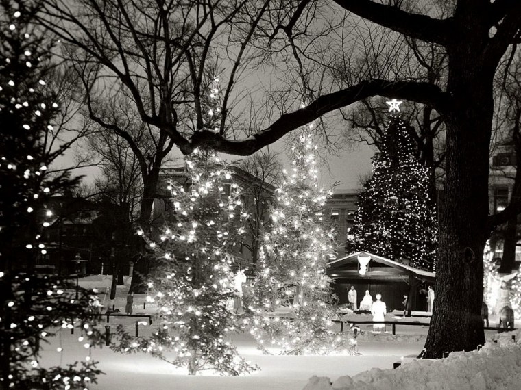 Зима новый год