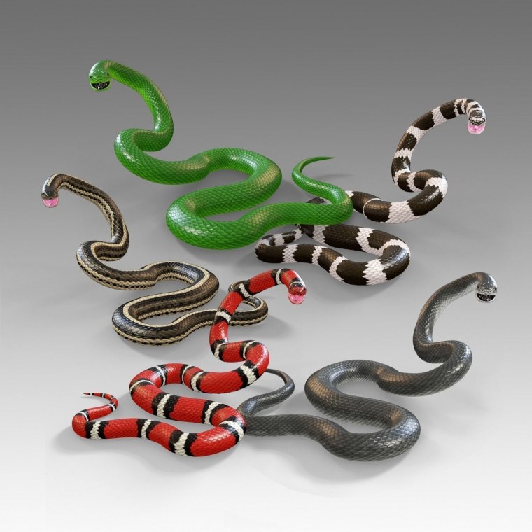 3d модель змеи