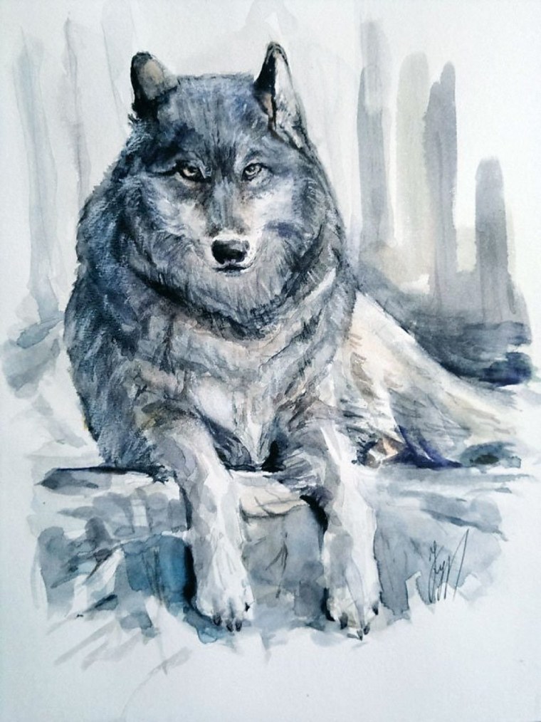 Волк рисунок
