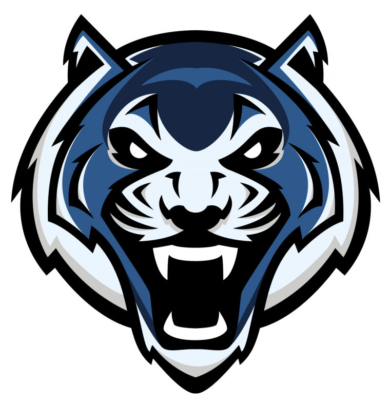 Лого для команды