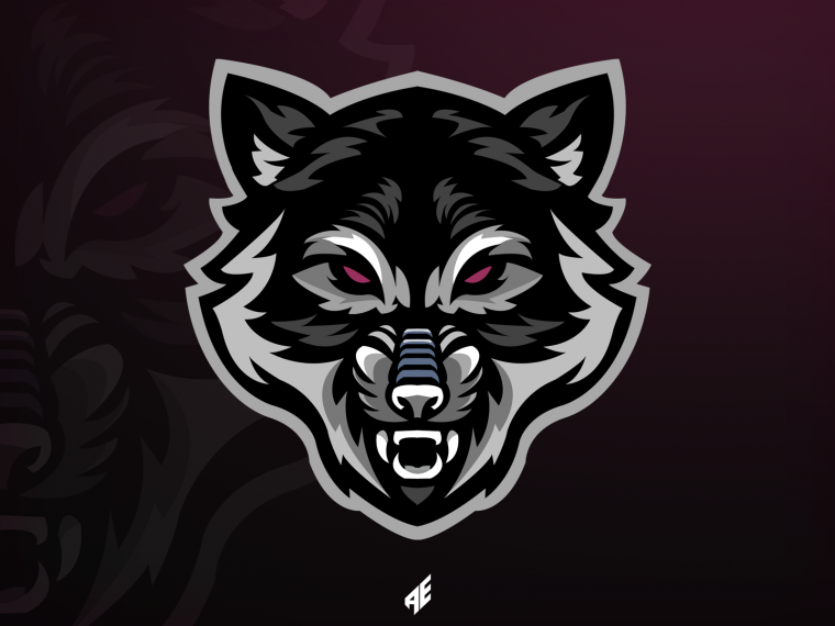 Логотипы команд