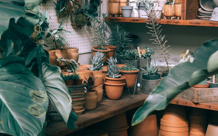 Фон пастельные тона