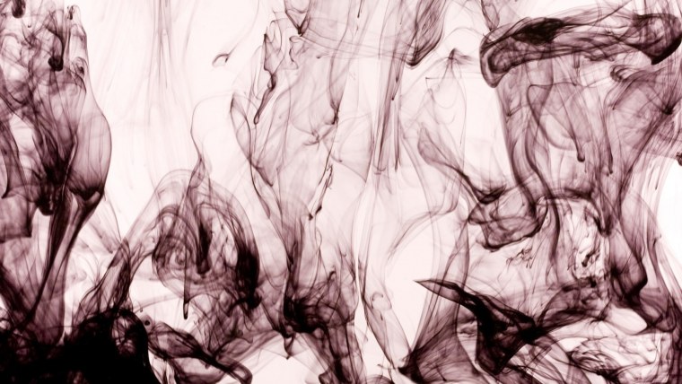 Ветка с цветами