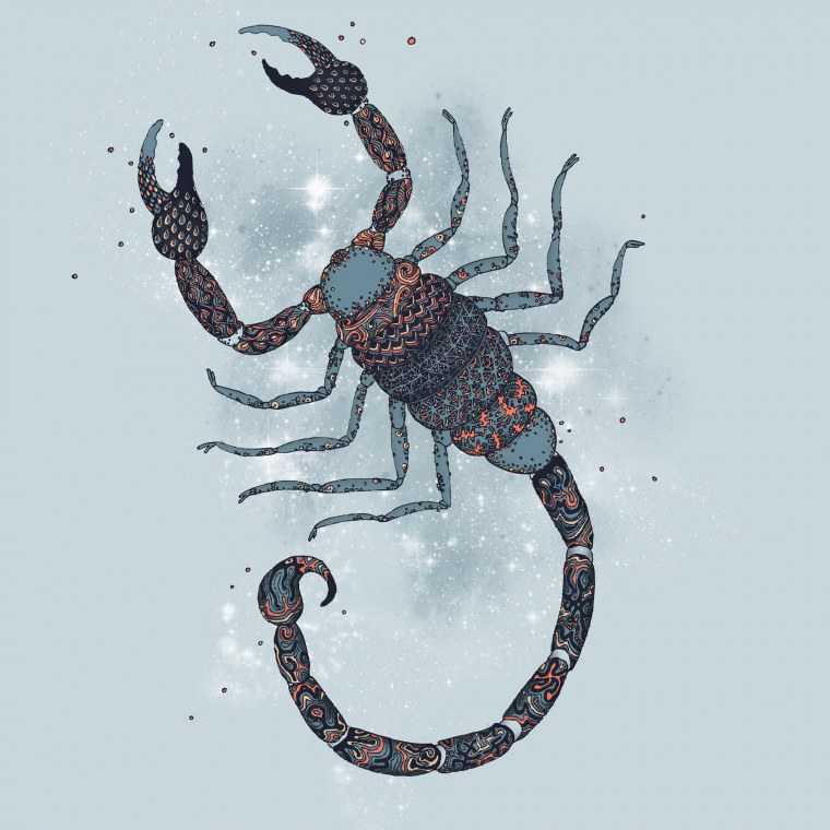 Императорский Скорпион фото