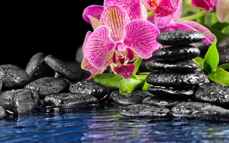 Серый Форд Мустанг gt500