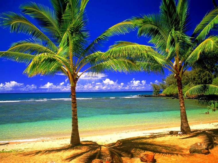 Гавайи обои 4к