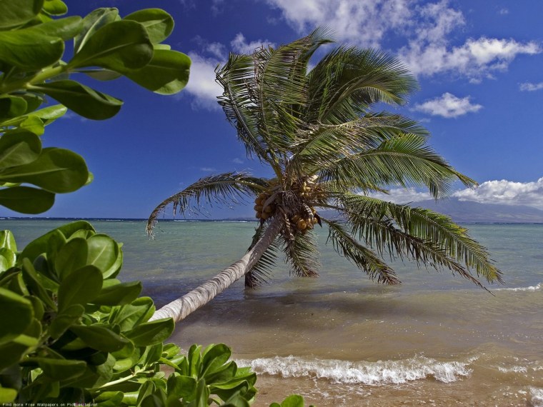 Остров Кауаи, Гавайские острова