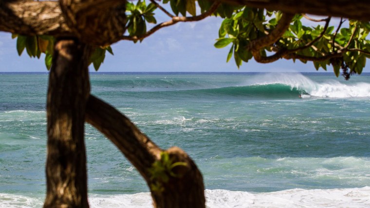 Гавайи Багамы