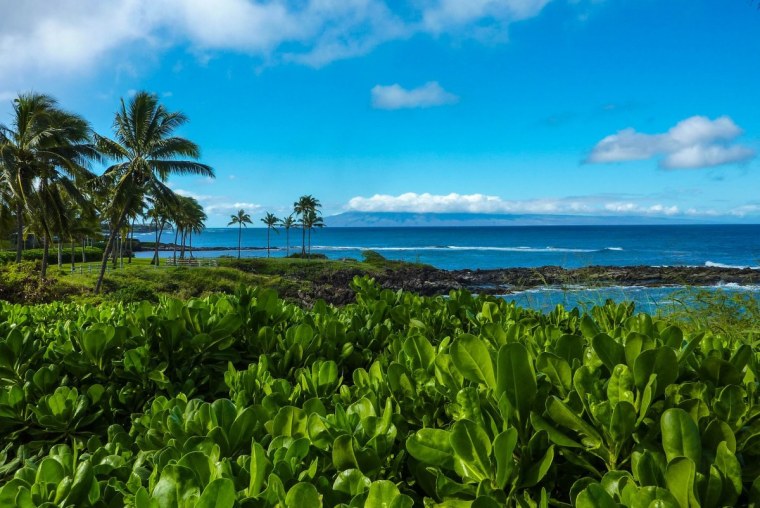 Чёрный пляж Гавайи