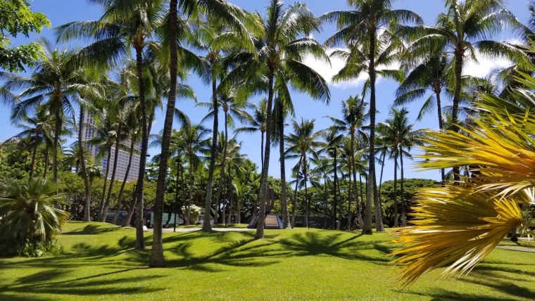 Гавайи, Гонолулу Бич