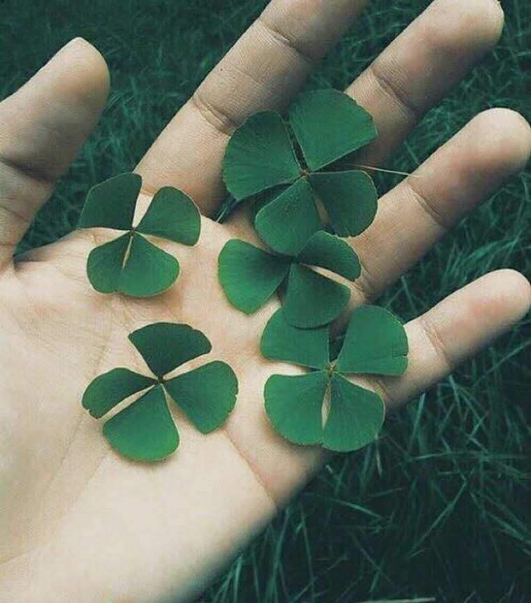 Краска зеленая